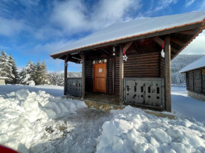 SKI WOOD HOUSE TORNIK